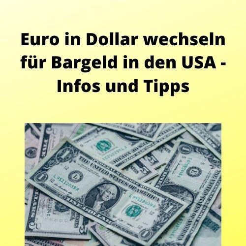 Euro in Dollar wechseln für Bargeld in den USA Infos und Tipps